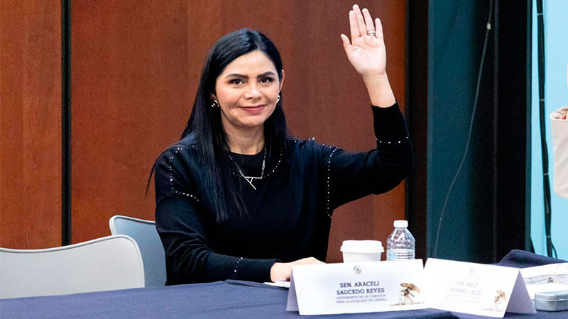 Avanza agenda para erradicar la violencia de género en el Senado: Araceli Saucedo 