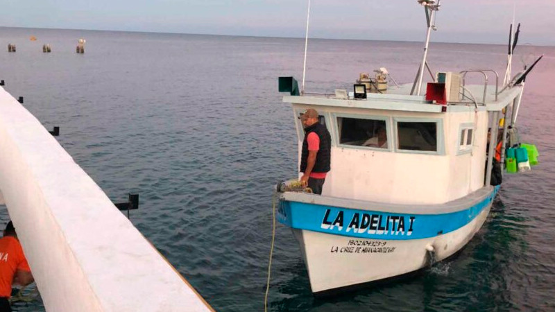 Aseguran 130 kilos de tiburón obtenidos de manera ilegal en las Islas Marías 