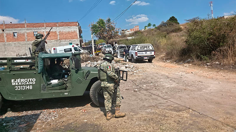 Mujer que fue encontrada sin vida el pasado sábado en la colonia 3 de Agosto de Morelia, Michoacán, falleció por ataque de perros: FGE  