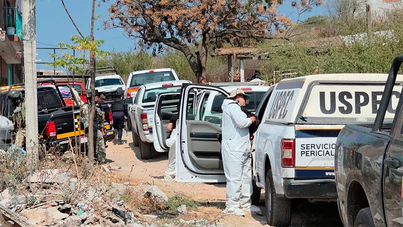 Identifican a mujer que falleció tras ataque de perros en la colonia 3 de Agosto de Morelia, Michoacán  