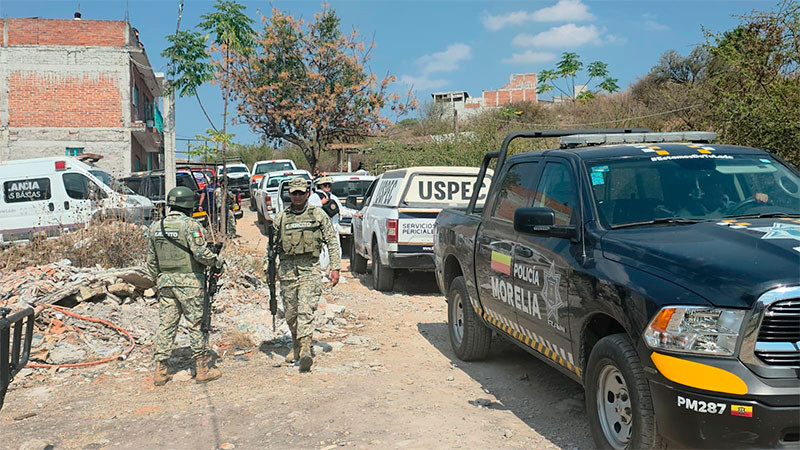 IMPA inspeccionará zona en la colonia 3 de Agosto, donde ocurrió presunto ataque de jauría de perros 