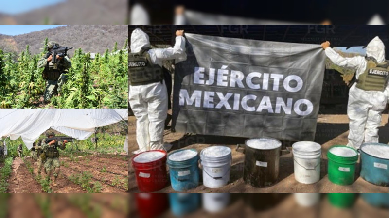 Turicato, Michoacán: El municipio de 29 mil habitantes convertido en invernadero y laboratorio de estupefacientes  