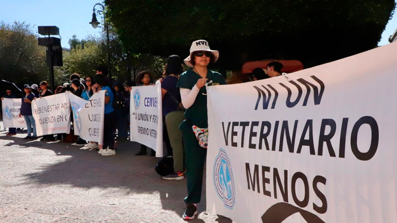 Al menos 70% de veterinarios en Querétaro ha sufrido ataques de dueños de mascotas en el último año   