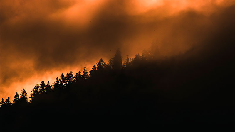 Permanecen activos 6 incendios forestales en San Luis Potosí 