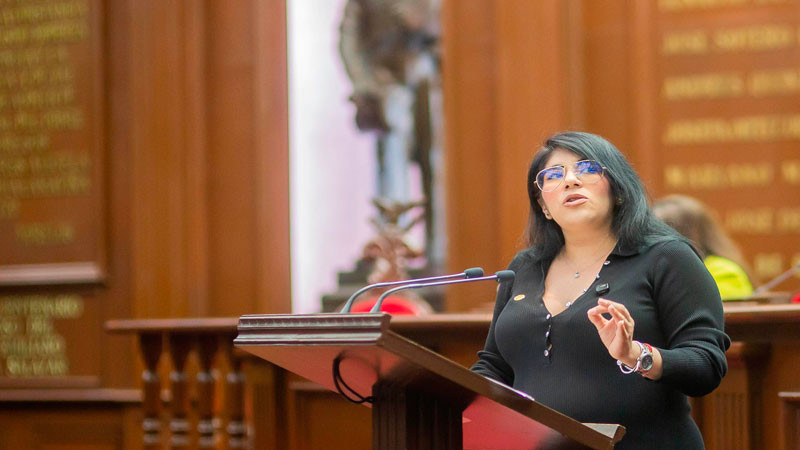 Busca Vanhe Caratachea castigar suplantación de identidad con IA 