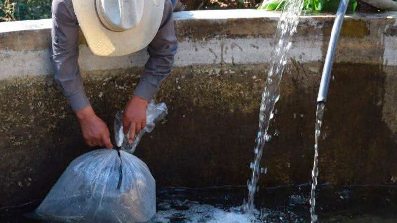 Con apoyo del Gobierno de Morelia, productores piscícolas se preparan para la cuaresma 