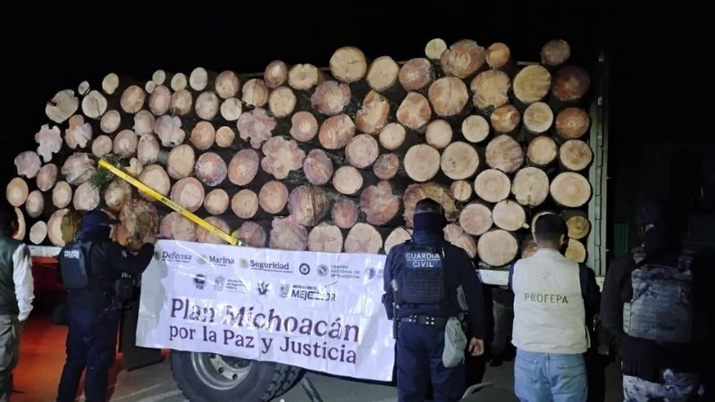 Aseguran en Angangueo, Michoacán más de 32 metros cúbicos de madera ilegal 