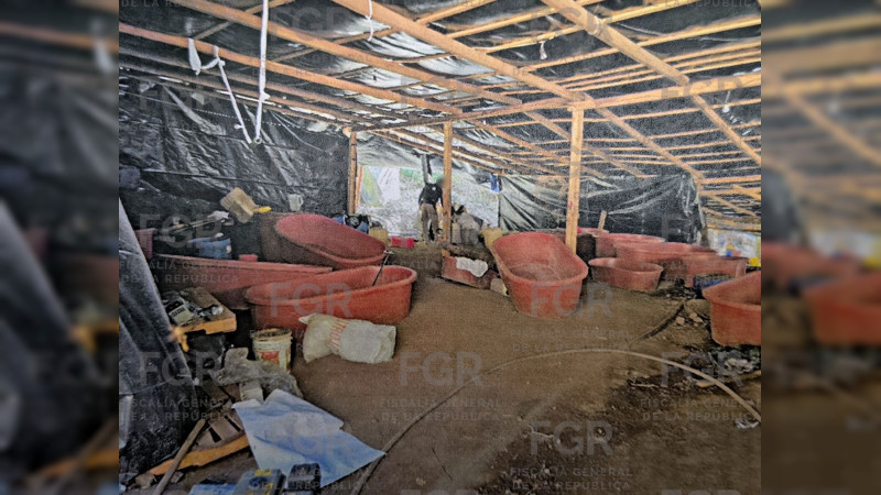 FGR investiga hallazgo de laboratorio clandestino y precursores en Ixtlán del Río, Nayarit  