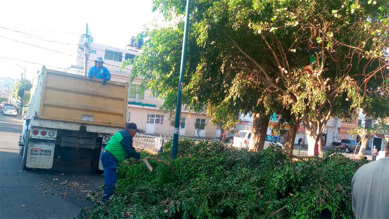 Gobierno Municipal da limpieza y mantenimiento a áreas verdes de Morelia 