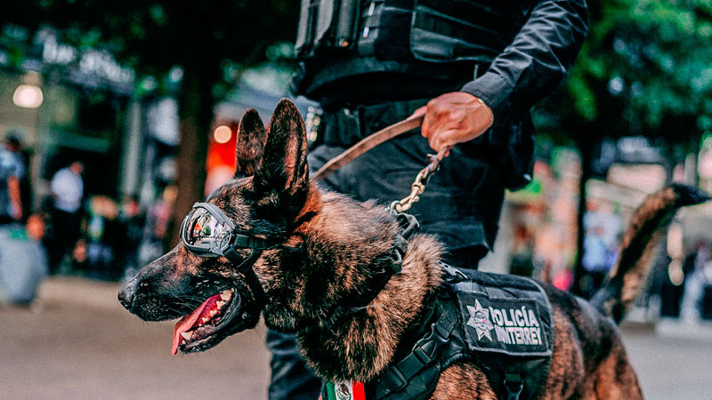 Difunden amenazas de tiroteo en preparatorias de la UANL; autoridades se movilizan 