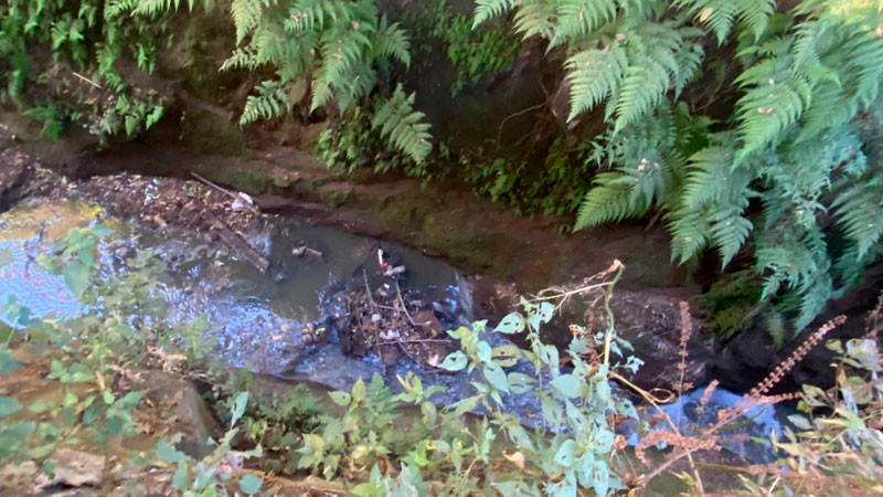 Bomberos de Zitácuaro, Michoacán rescatan a un hombre de caer en un barranco 