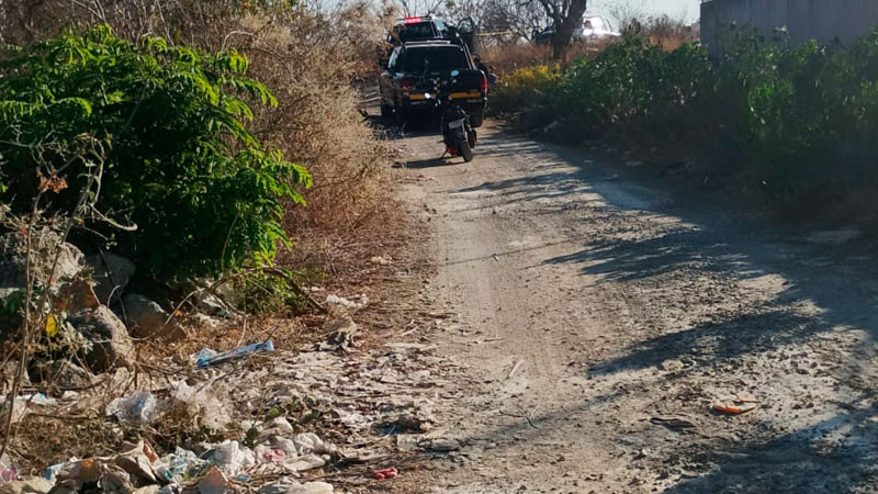 Investiga FGE de Michoacán muerte de joven, estaba colgado de un árbol 