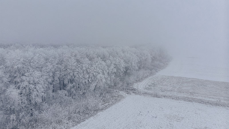 Implementarán toque de queda en Nueva York, ante una intensa tormenta invernal  