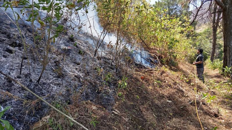 Atienden bomberos de Zitácuaro incendio forestal 