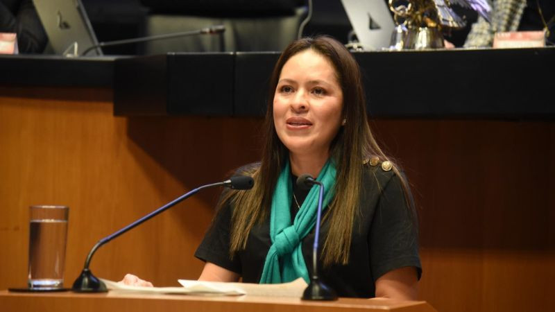 PVEM confía en que sus propuestas sean integradas a la reforma electoral 