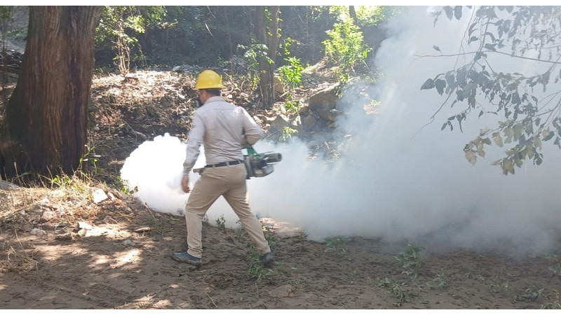 Refuerza SESA acciones de vigilancia epidemiológica contra el dengue 