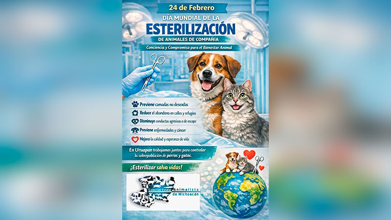 En Michoacán se practican 30 mil esterilizaciones de animales de compañía al año: UARUPA 