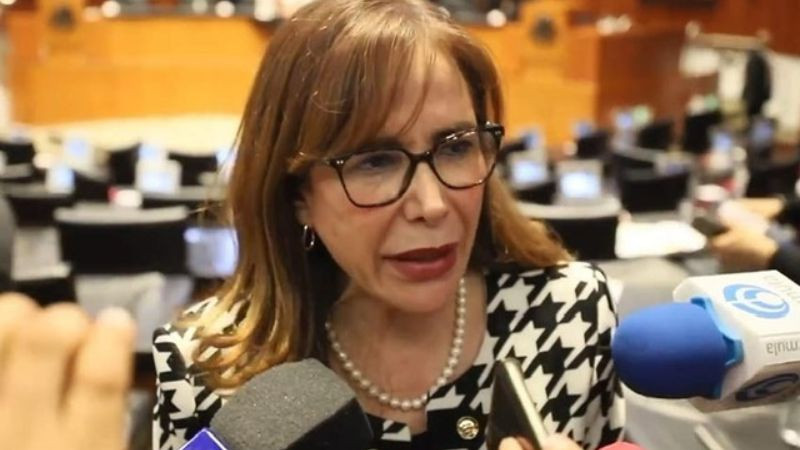 PT advierte que reforma electoral “no es viable” y “está fuera de toda realidad”, señala Polevnsky 