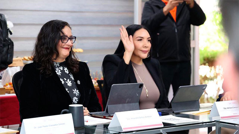 Desde el Congreso, se respalda la consolidación del Gobierno Digital en Michoacán: Adriana Campos Huirache 