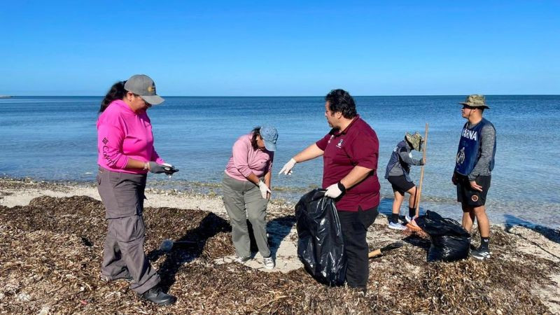 Recolectan 700 kilos de residuos en jornada de limpieza en Playa Bonita, Campeche 