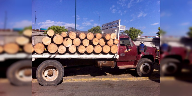 Aseguran madera presuntamente talada ilegalmente, en Tzitzio, Michoacán; hay cuatro detenidos - Foto 0 