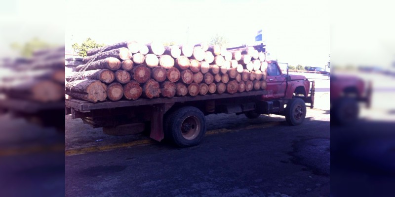 Aseguran madera presuntamente talada ilegalmente, en Tzitzio, Michoacán; hay cuatro detenidos - Foto 2 