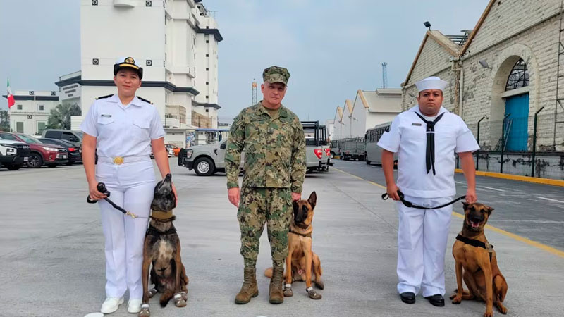 “Karam", "Hitzil" y "Kobu" se retiran con honores de la Semar; binomios caninos concluyen servicio en Veracruz 