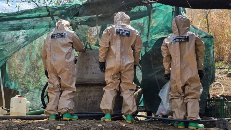 Desmantelan laboratorio para elaboración de estupefacientes en Peribán, Michoacán 