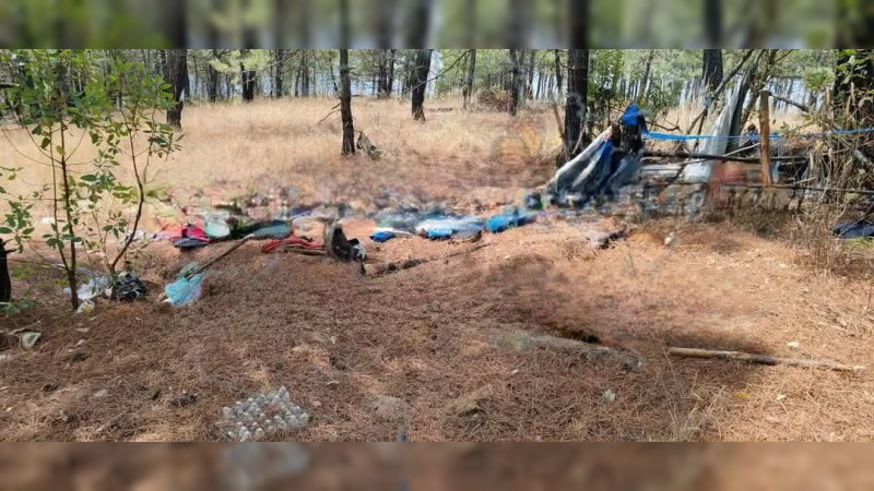 Localizan y destruyen campamento clandestino en Zinapécuaro, Michoacán, durante operativo conjunto 
