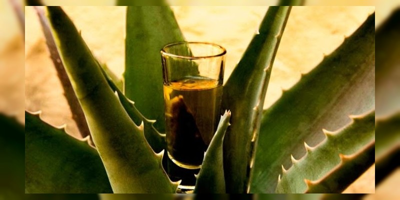Interesa a Corea importar mezcal y aguacate michoacano: Sedrua 