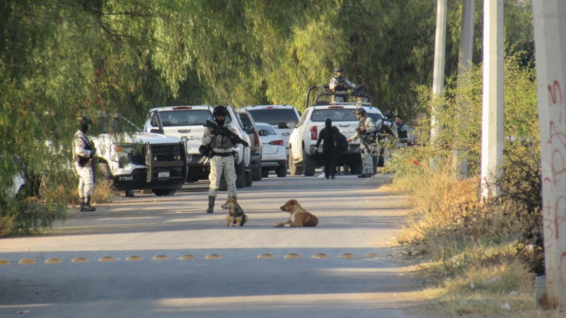 Trasciende captura de "La Lupe" en Guanajuato; no hay confirmación oficial 