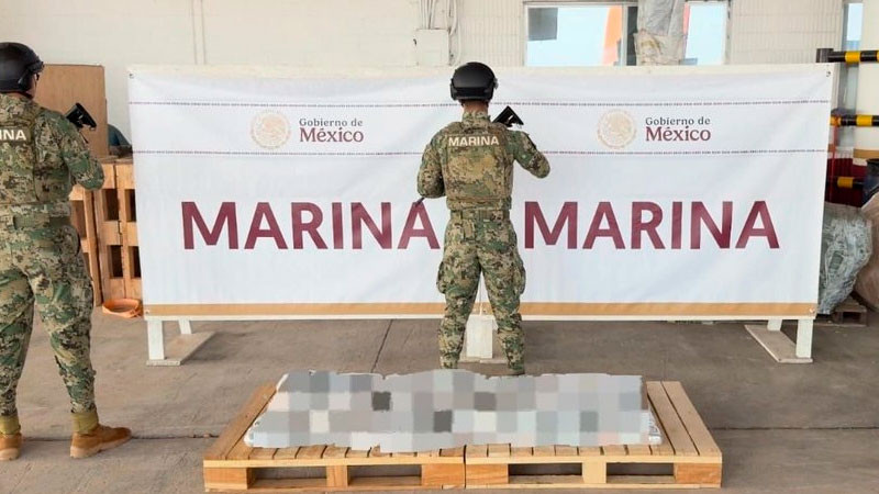 Aseguran cerca de 220 kilos de estupefacientes en Puerto de Veracruz 