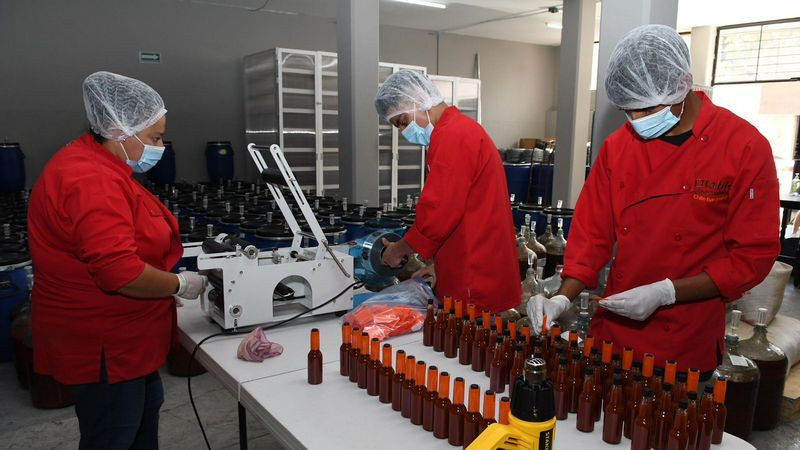 Michoacán supera el medio millón de empleos formales; alcanzó su cifra más alta en febrero 