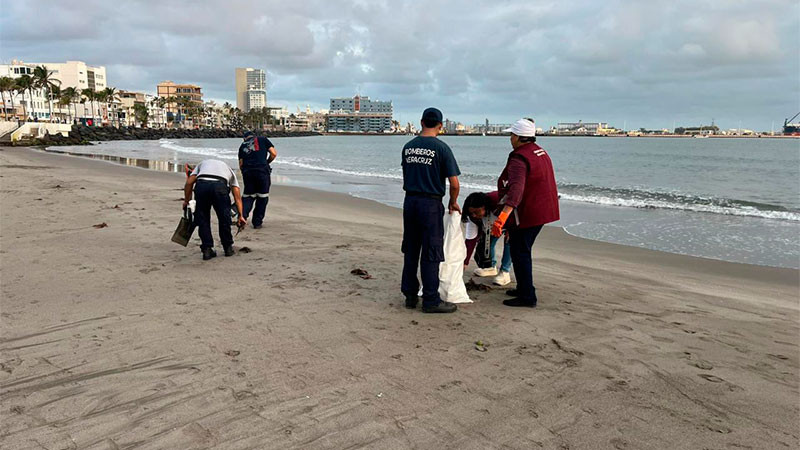 Realiza el Gobierno Federal acciones para atender la presencia de hidrocarburos en playas del Golfo de México 