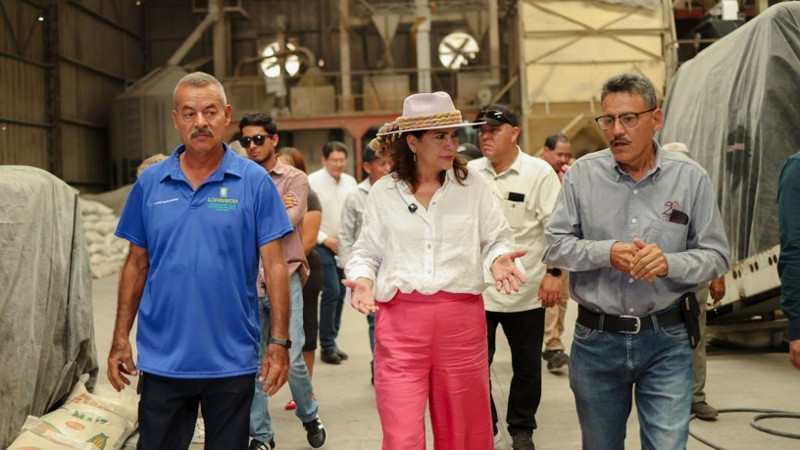 Fabiola Alanís visitó la zona de producción de arroz y mango en la tierra caliente 