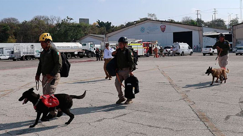 Tres binomios caninos buscan a niña que se perdió en Tila, Chiapas 
