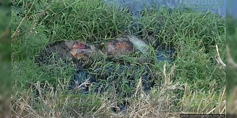 Putrefacto, hallan cadáver en el río en Zamora 