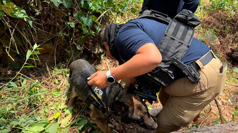 En Ziracuaretiro, Michoacán localizan restos óseos humanos 