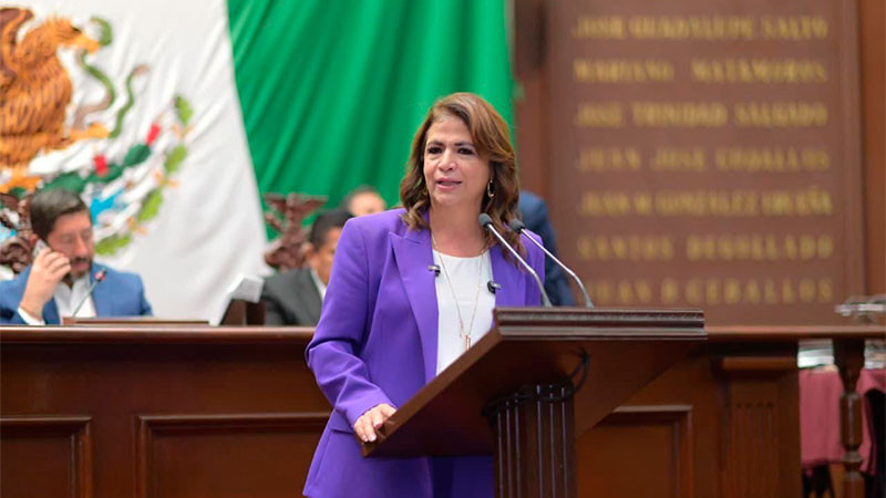 Garantizar más recursos para el Bienestar, principal objetivo del Plan B: Fabiola Alanís 