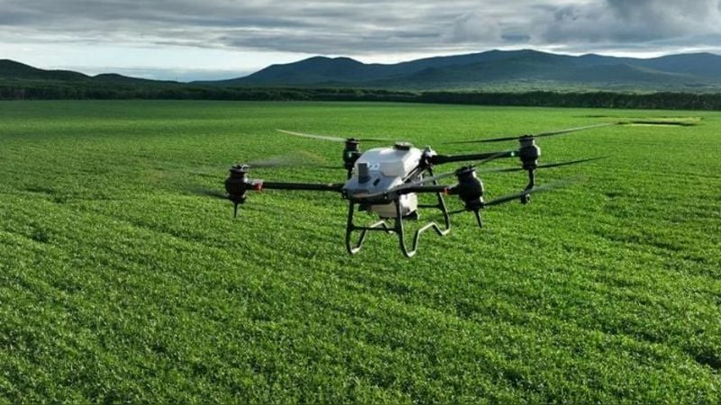 Drones kamikaze y guerra real: el presunto interés del crimen organizado mexicano en conflicto Ucrania-Rusia 