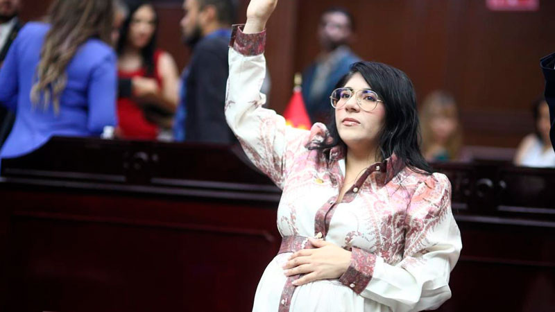 Vanhe Caratachea presenta iniciativa para proteger de violencia de género a madres jefas de familia 