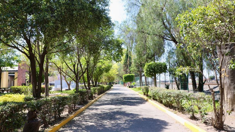 Avanza proyecto para declarar área natural protegida al parque Los Alcanfores 