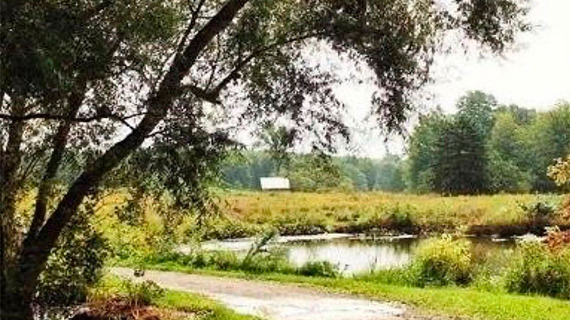 Realizarán este sábado un evento especial en el parque La Queretana para conmemorar el Día Mundial del Agua 