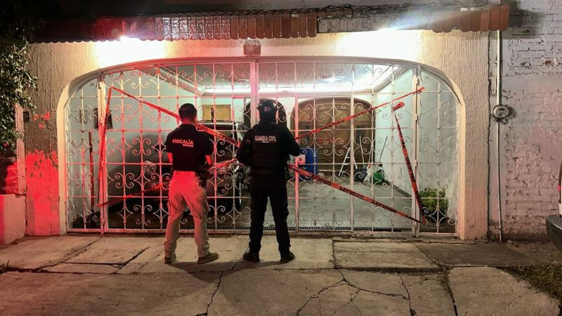 Rescatan a 29 perros en condiciones de abandono en Sahuayo; hay una detenida 