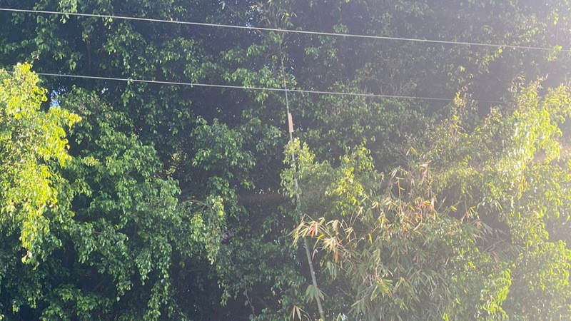 Muere hombre al electrocutarse en Zamora, Michoacán 