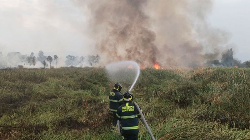 Incendio en Xochimilco deja casi 8 hectáreas afectadas  