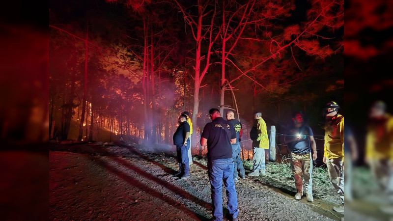 Luto en la sierra: mueren dos brigadistas al combatir incendio forestal en Tacámbaro, Michoacán  