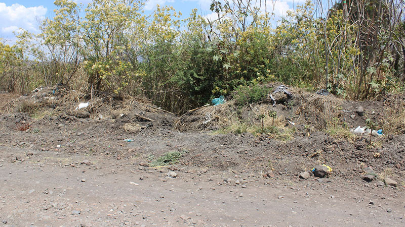 Localizan restos humanos en un predio en Zamora, Michoacán  