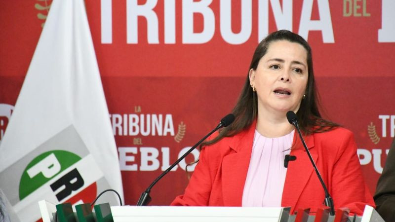 México necesita defensores que no sean ametrallados por el oficialismo: Edna Martínez 