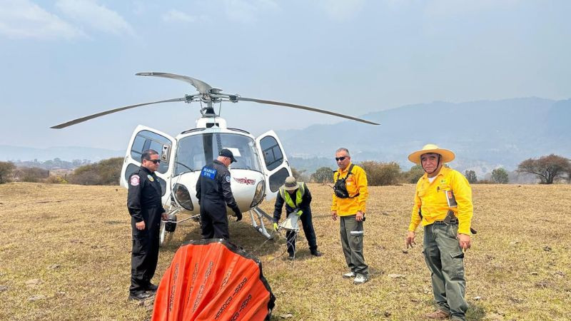 Michoacán: controlado el 90 % del incendio forestal en el Área Natural Protegida de Tzitzio 